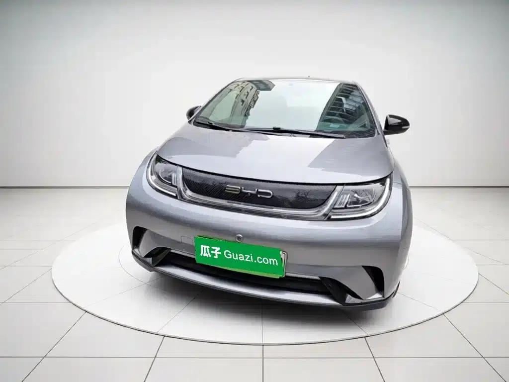 Dolphin 2023 420km Freedom Edition — миниатюра 24
