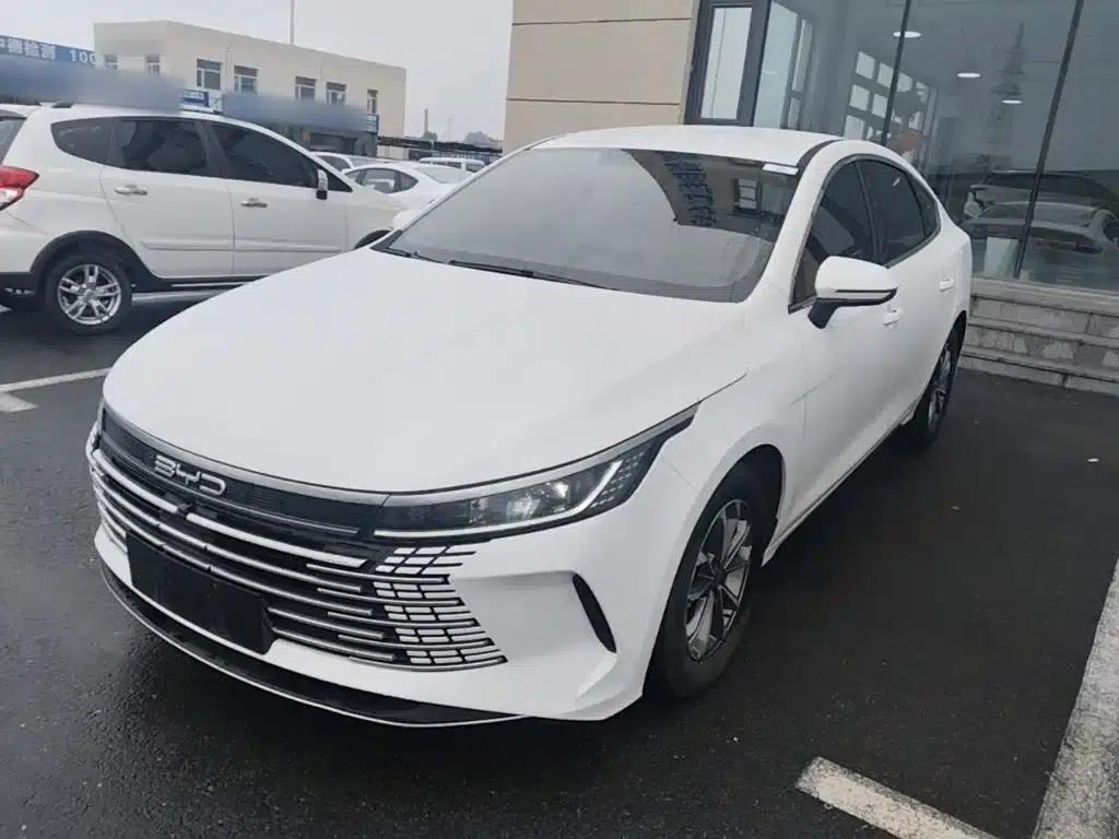 Destroyer 05 2024 Glory Edition DM-i 55KM Luxury Model — миниатюра 2