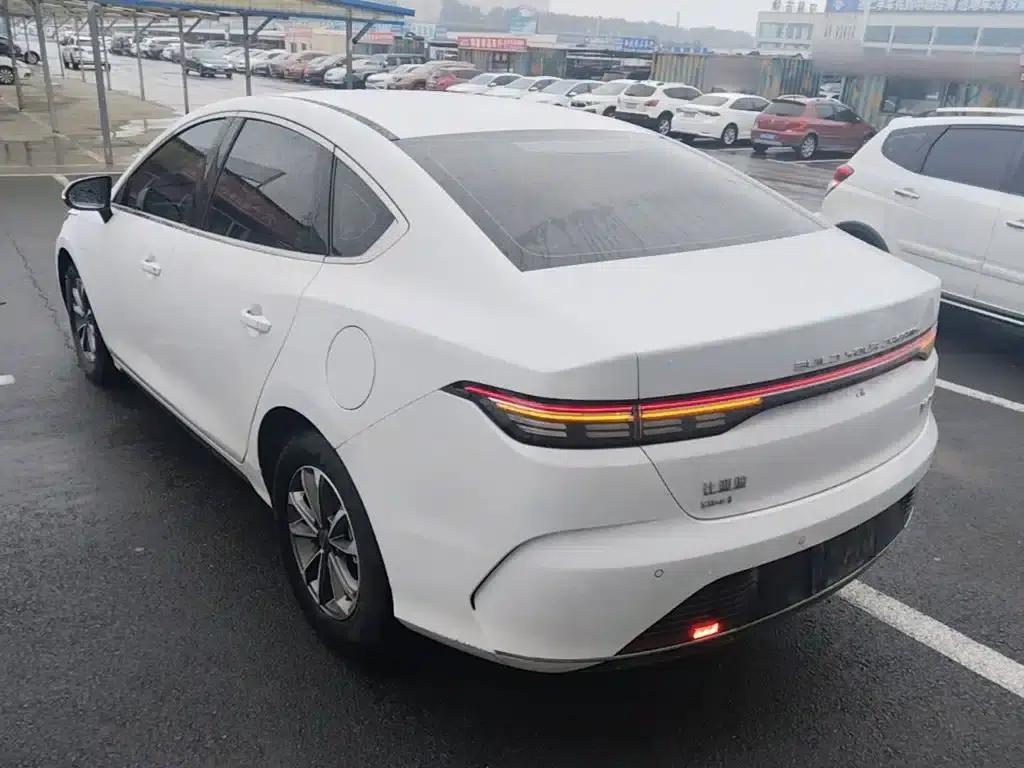 Destroyer 05 2024 Glory Edition DM-i 55KM Luxury Model — миниатюра 5