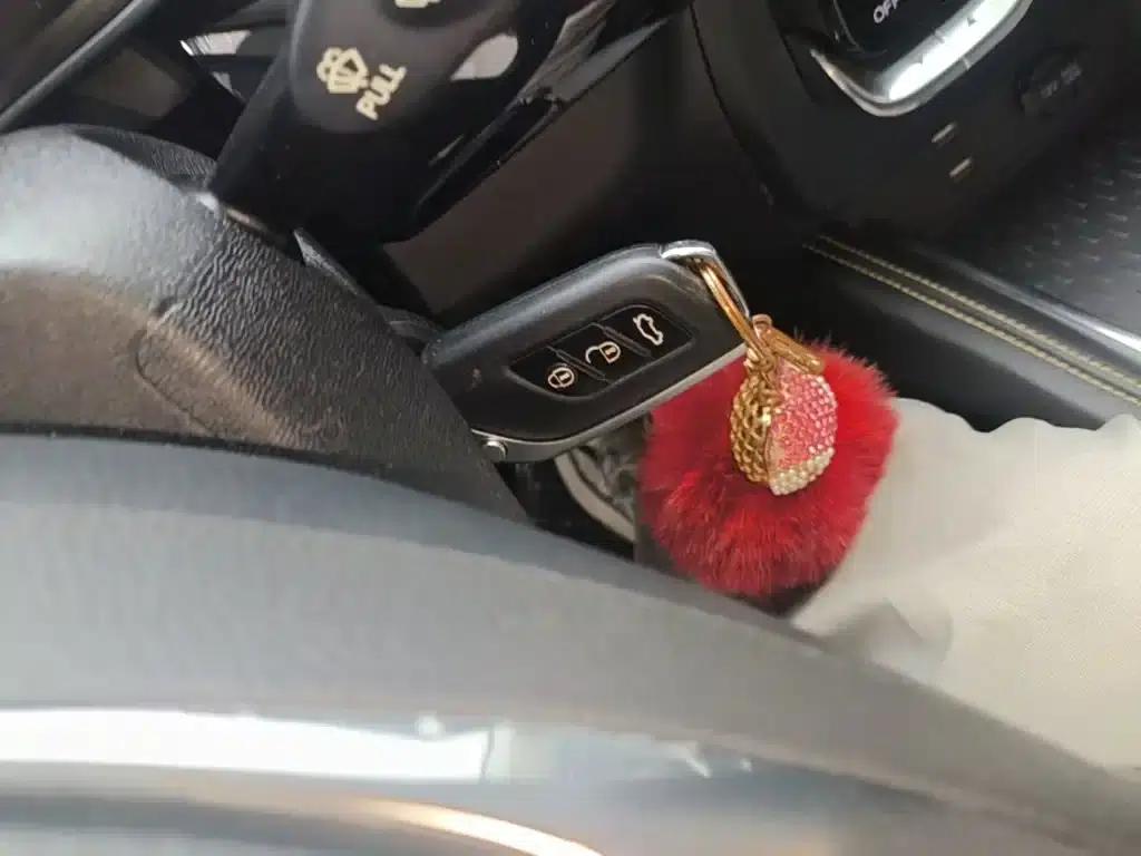 Beijing X3 2019 1.5T CVT Glory Edition — миниатюра 9