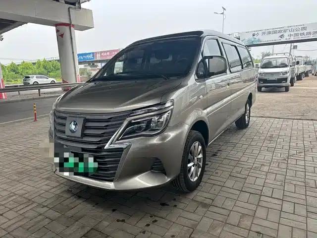 Lingzhi New Energy 2024 Standard Edition Basic 9-Seater