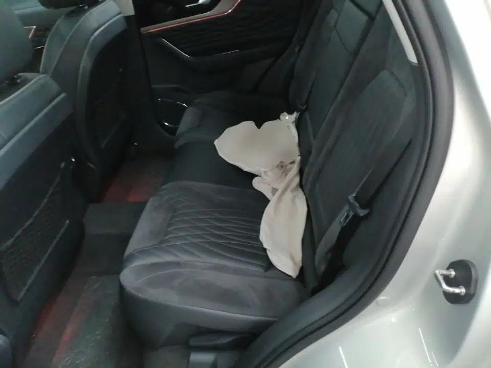 Hongqi HS5 2022 Revised Version 2.0T Smart Connect Flagship Edition — миниатюра 20