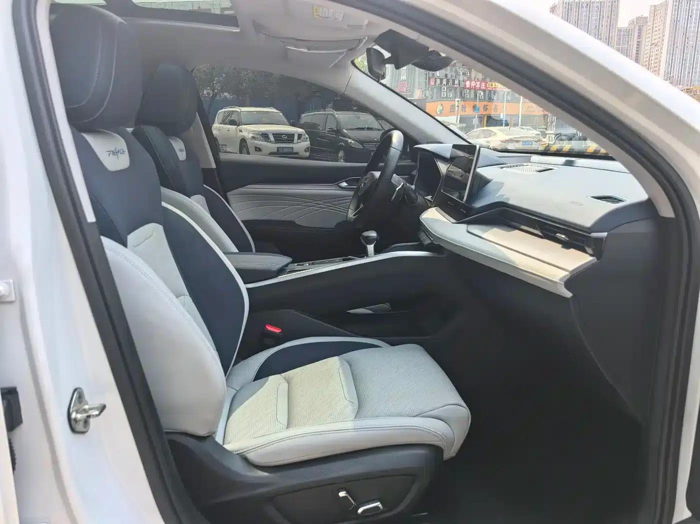 Xingrui 2021 Facelift 2.0TD Premium Edition — миниатюра 9