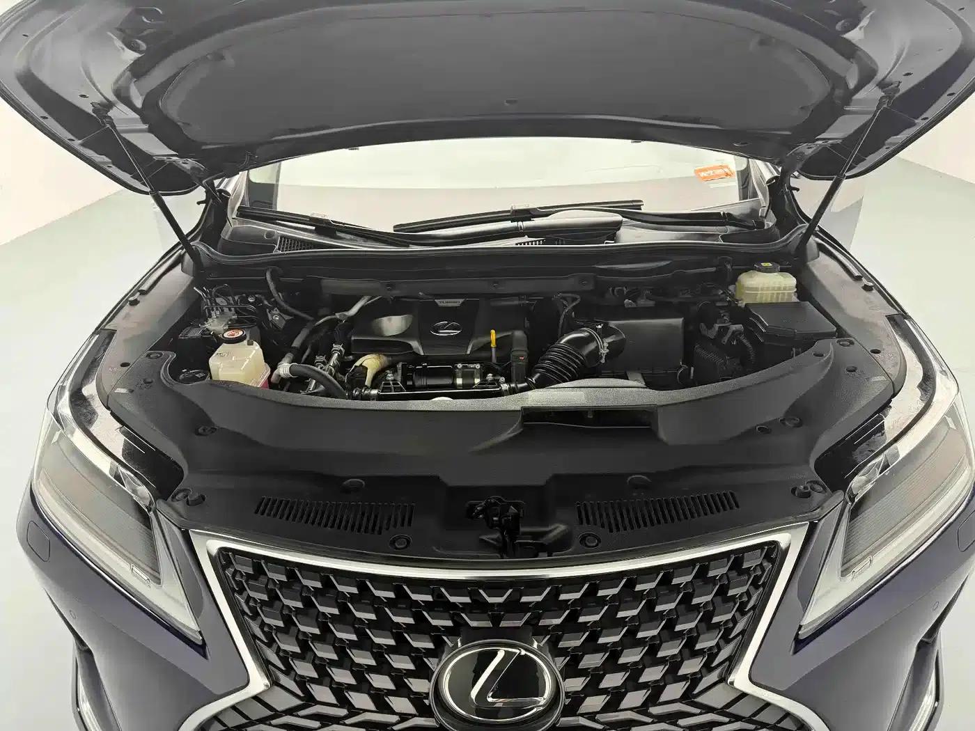 Lexus RX 2020 Facelift 300 AWD Elegant Edition — миниатюра 12