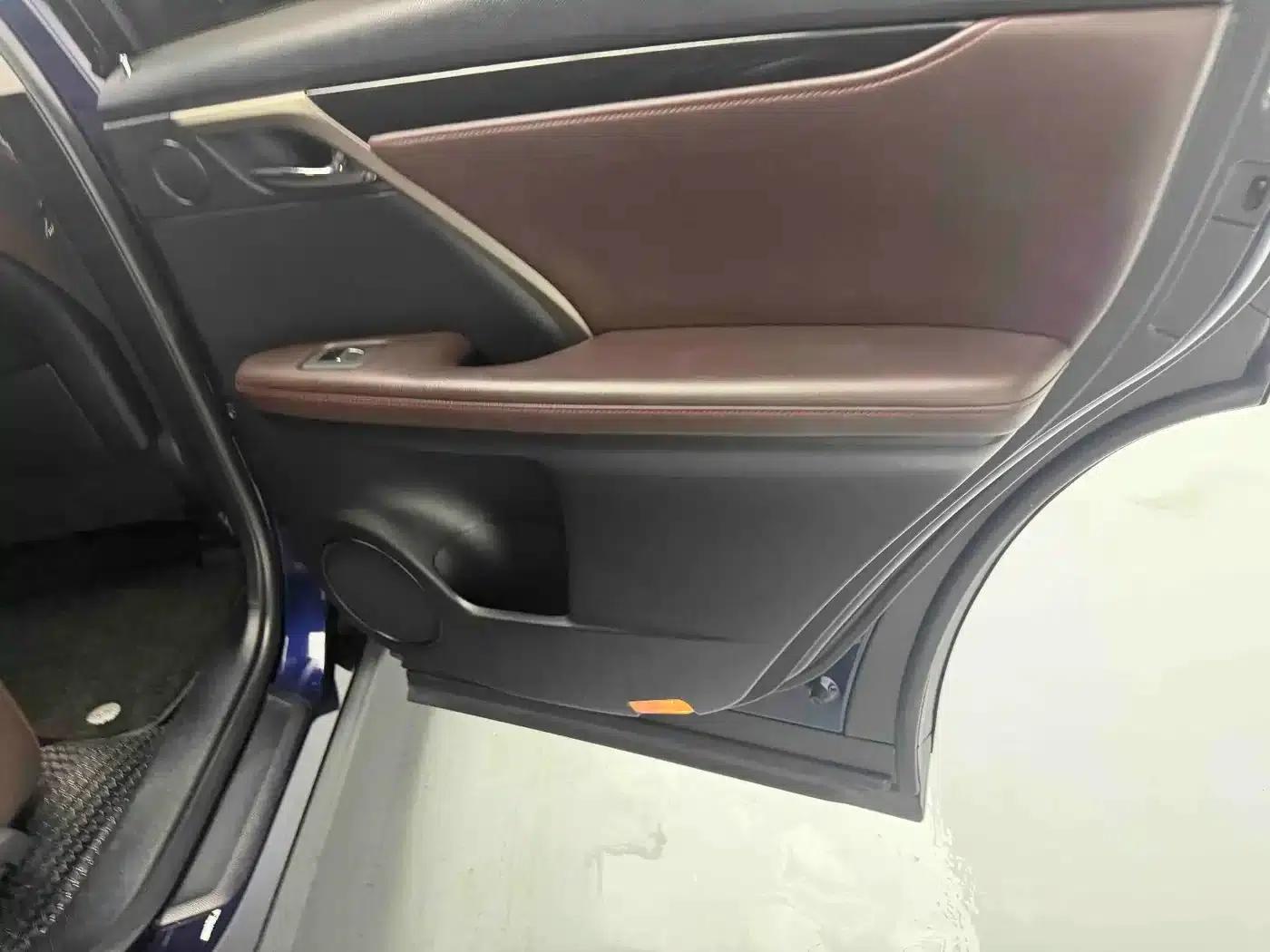 Lexus RX 2020 Facelift 300 AWD Elegant Edition — миниатюра 14