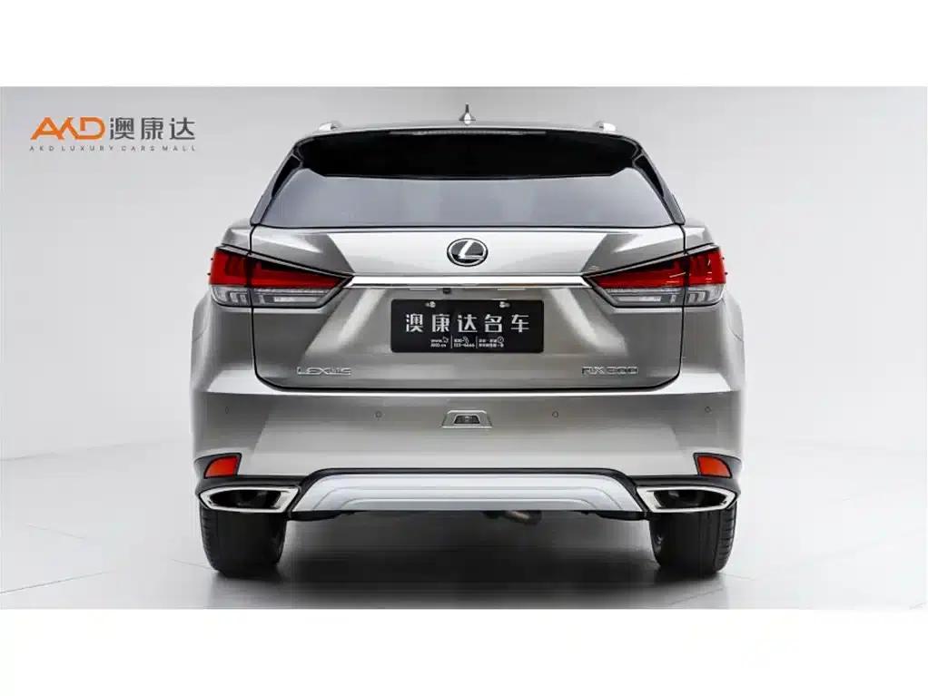 Lexus RX 2020 300 AWD Elegant Edition (China VI Emission Standard) — миниатюра 4