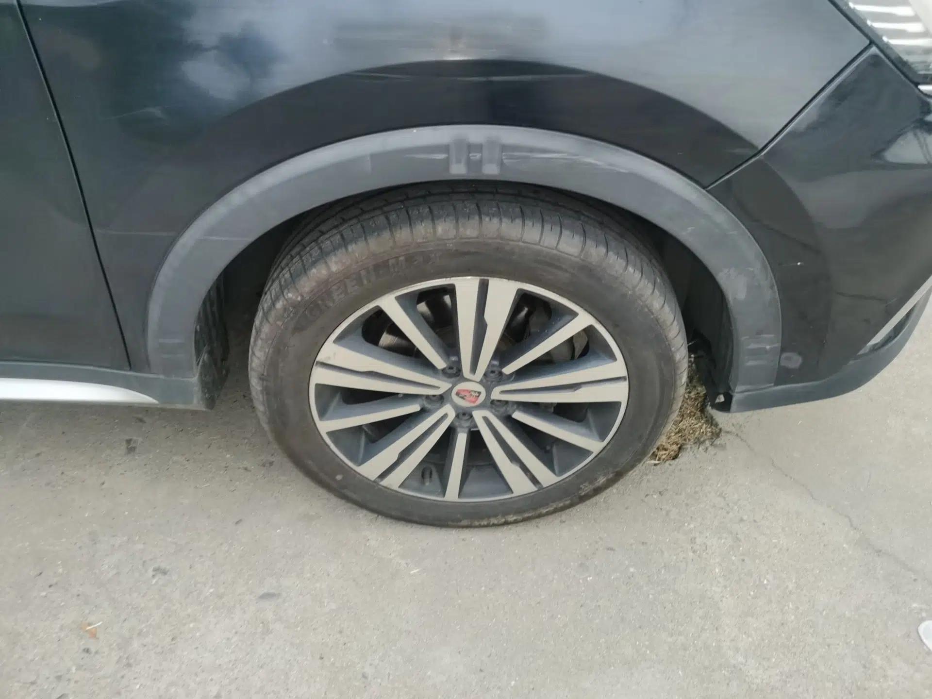 Roewe RX5 2019 20T Two-Wheel Drive Manual 4G Connect Platinum Edition — миниатюра 8