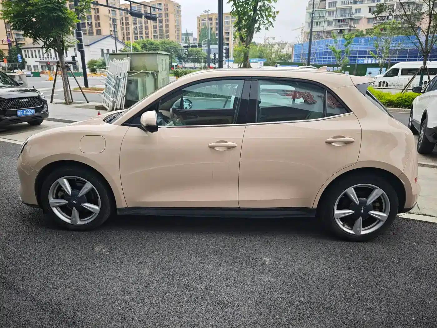 ORA Good Cat 2021 Model, 400km Standard Range, Business Edition, Lithium Iron Phosphate — миниатюра 3