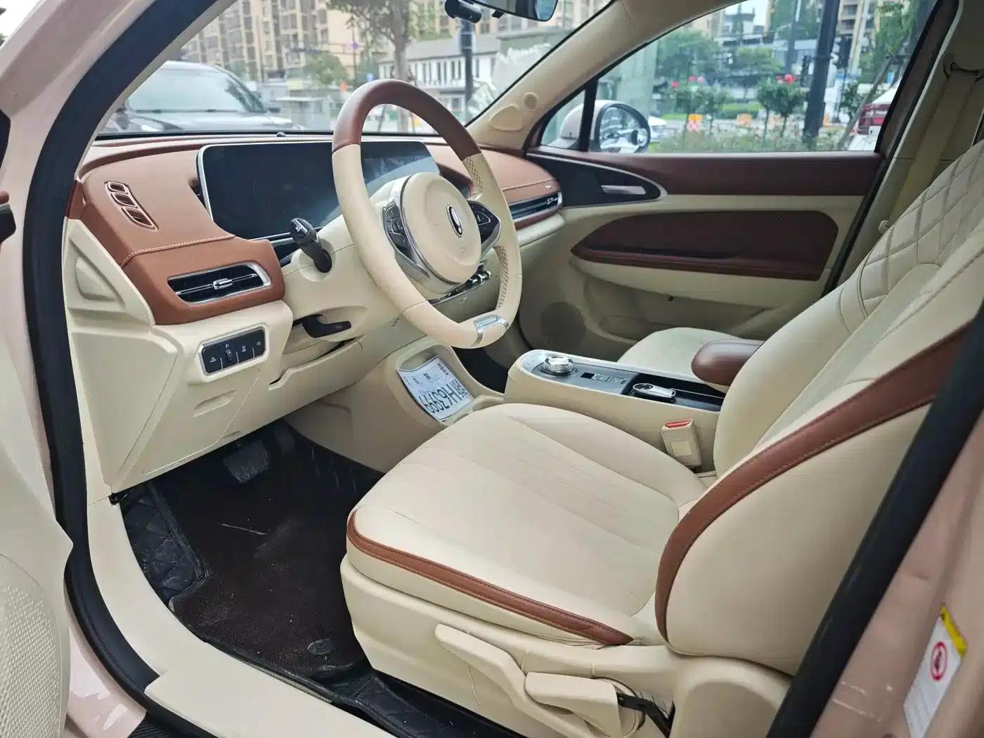 ORA Good Cat 2021 Model, 400km Standard Range, Business Edition, Lithium Iron Phosphate — миниатюра 7