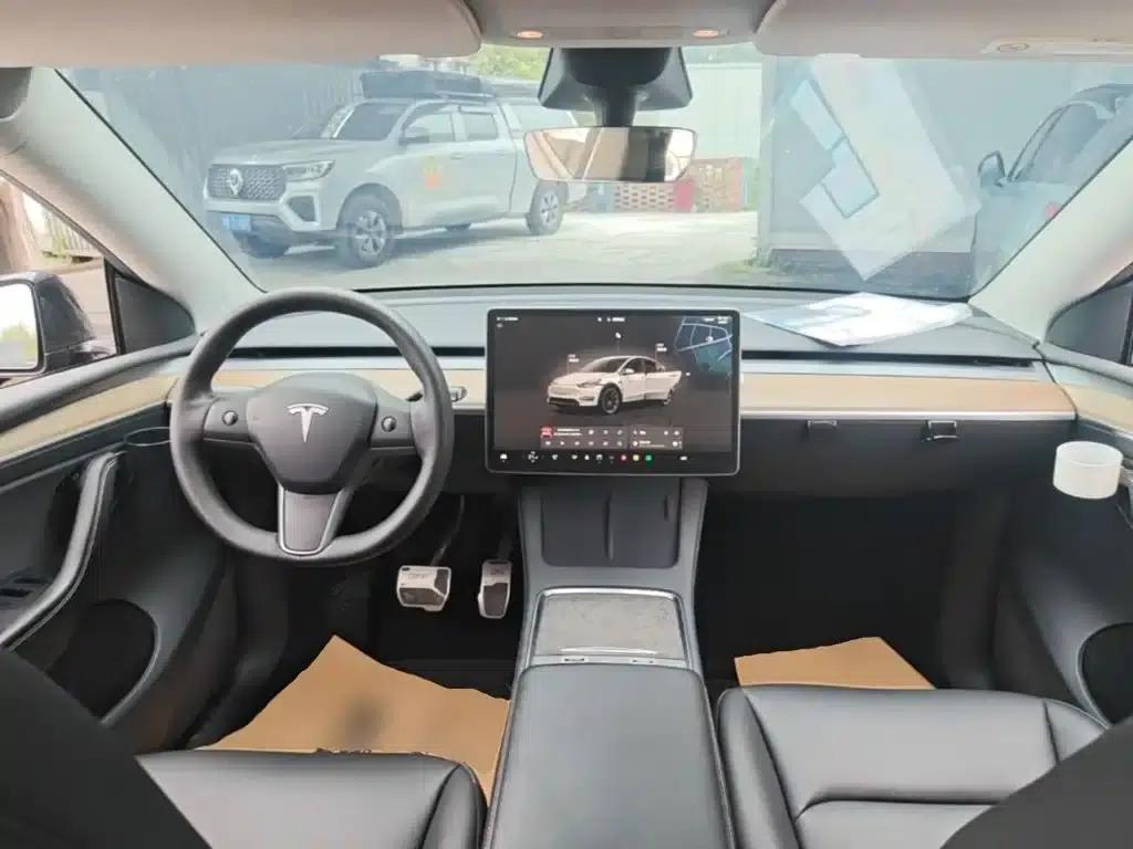Model Y 2022 Long Range All-Wheel Drive — миниатюра 10