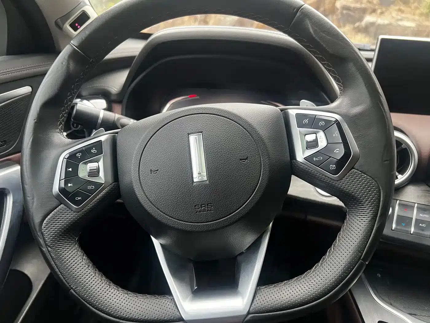 Weipai VV7 2020 2.0T Flagship Edition — миниатюра 14