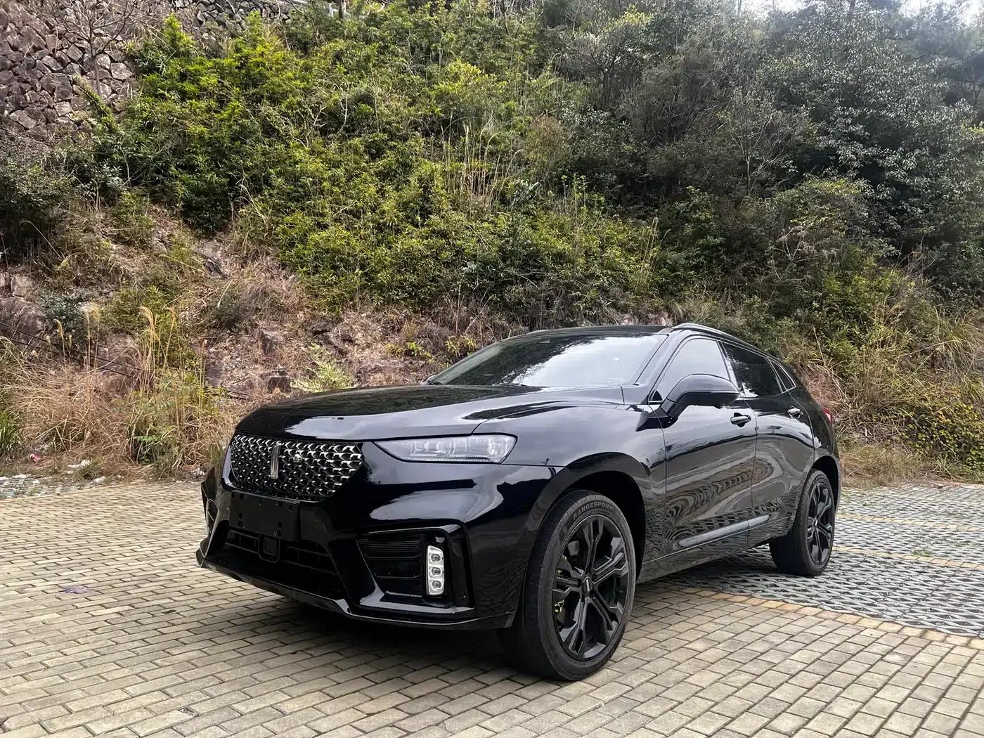 Weipai VV7 2020 2.0T Flagship Edition — миниатюра 3