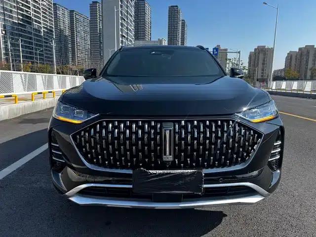 Wey brand Mocha 2021 2.0T 2WD Special Edition