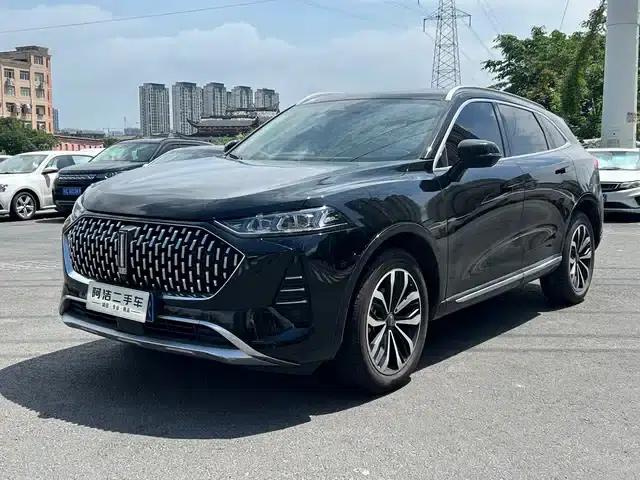 Wei brand Mocha 2021 2.0T 2WD Extra Rich Edition