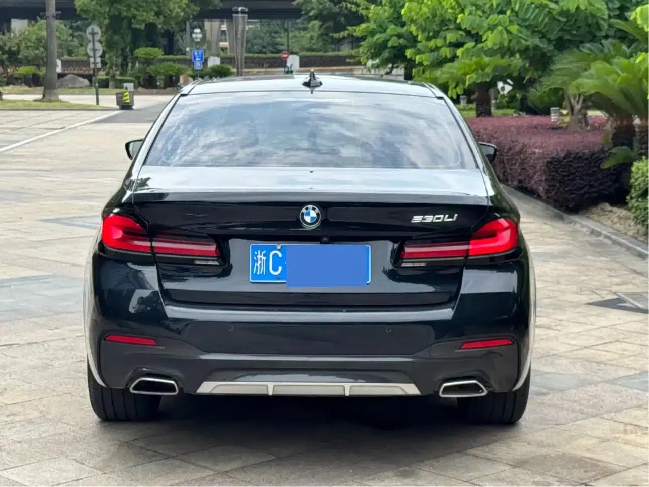 2022 BMW 5 Series 530Li Leading Edition M Sport Package — миниатюра 6