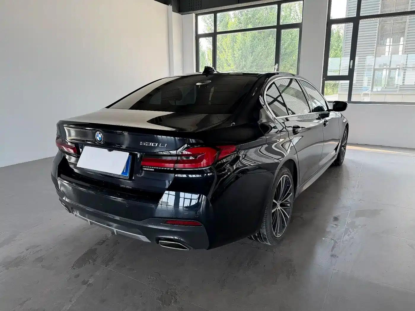 2022 BMW 5 Series 530Li Leading Edition M Sport Package — миниатюра 5