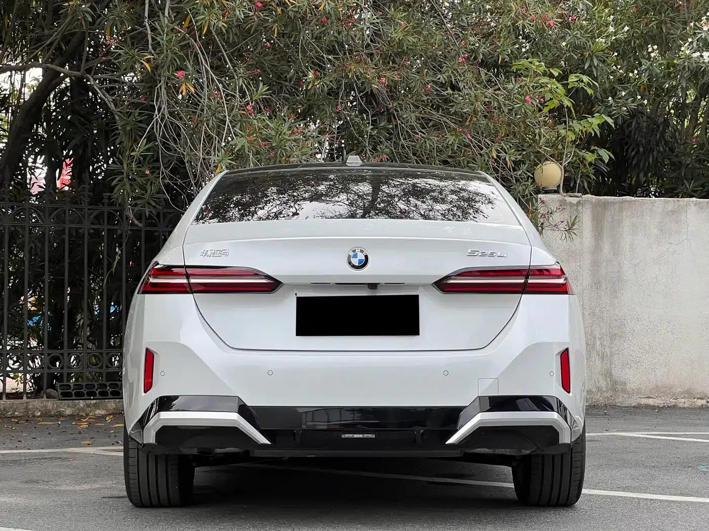 2025 BMW 5 Series 525Li M Sport Package — миниатюра 17