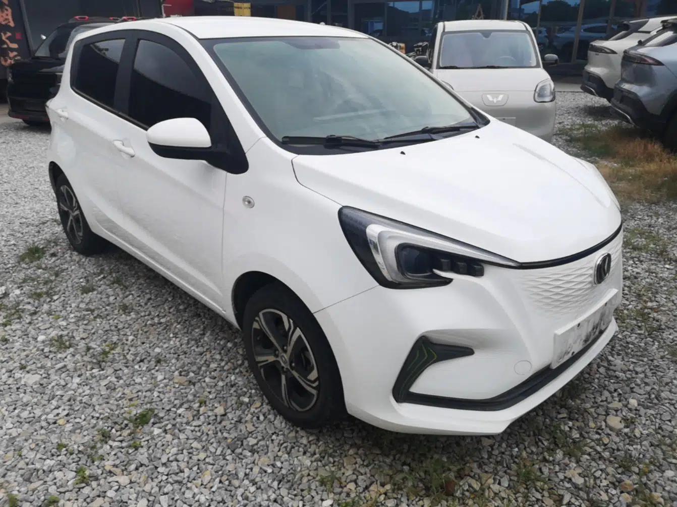 CHANGAN Benni E-Star 2020 Heartbeat Edition NMC Lithium — миниатюра 3