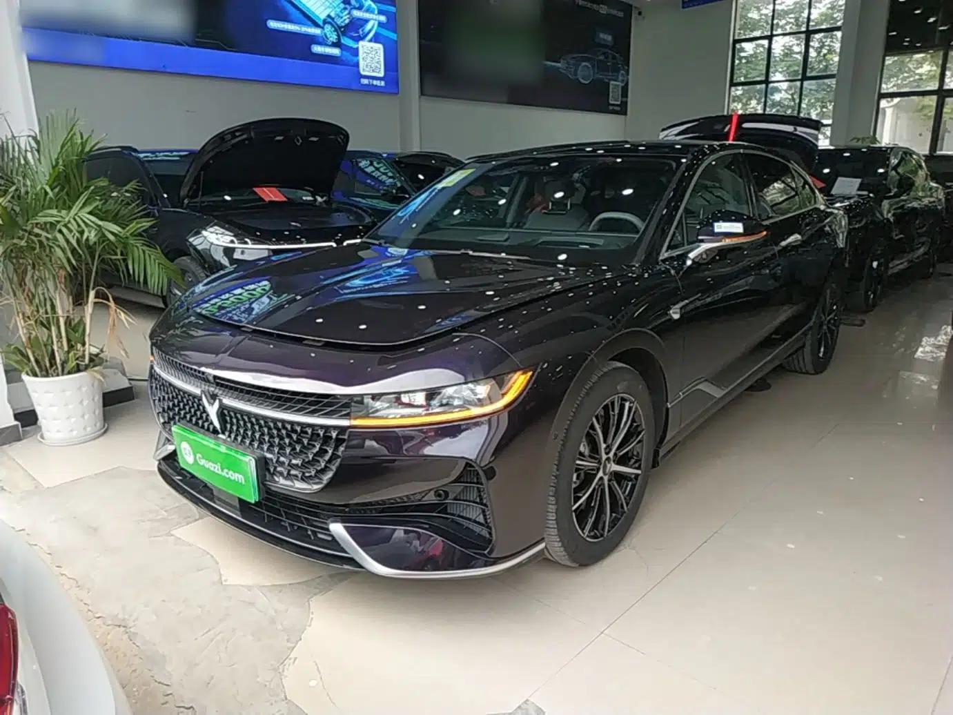 VOYAH PASSION 2024 PHEV Four-Wheel Drive Ultra-Long Range Executive Edition — миниатюра 1