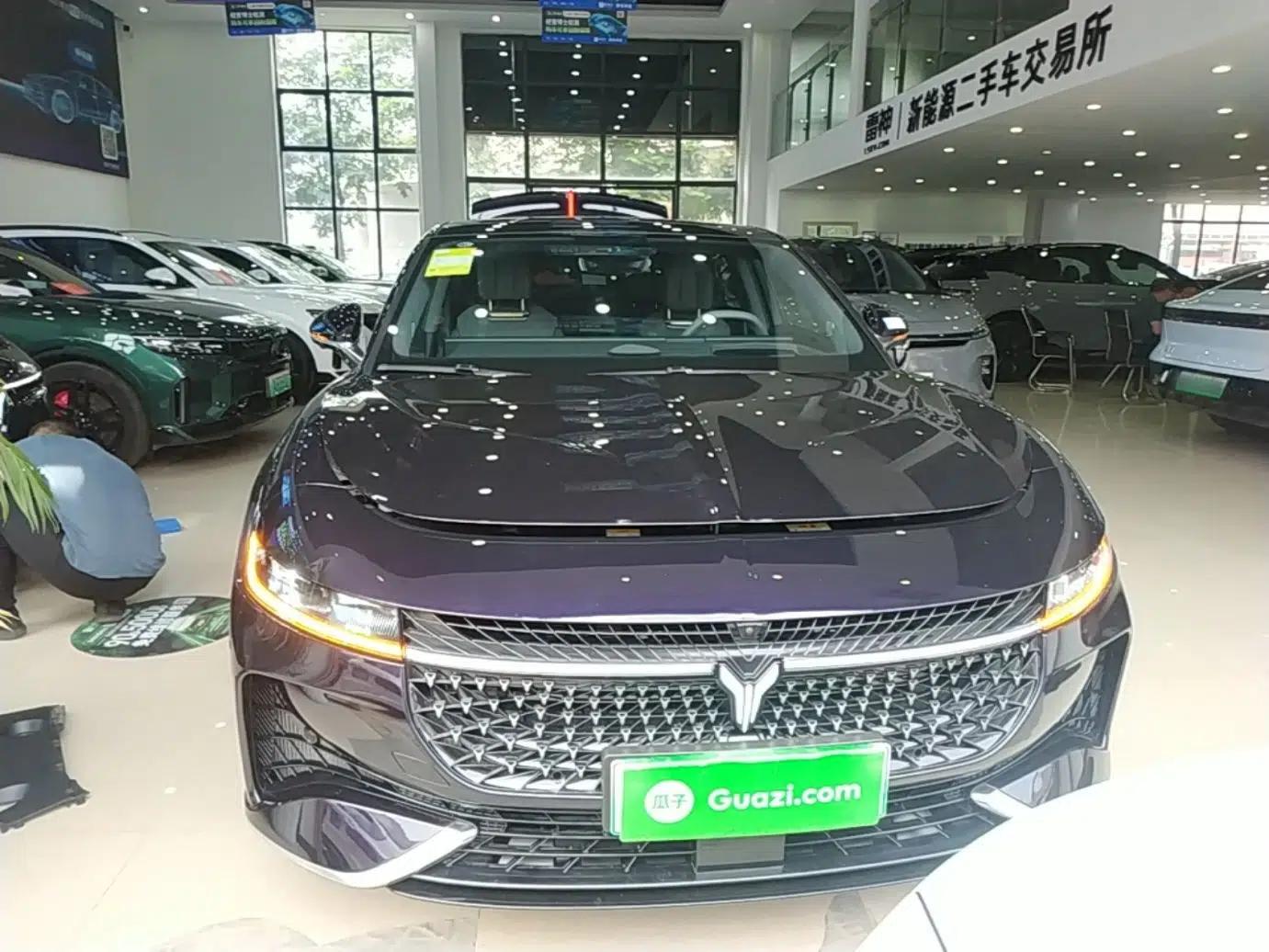VOYAH PASSION 2024 PHEV Four-Wheel Drive Ultra-Long Range Executive Edition — миниатюра 2