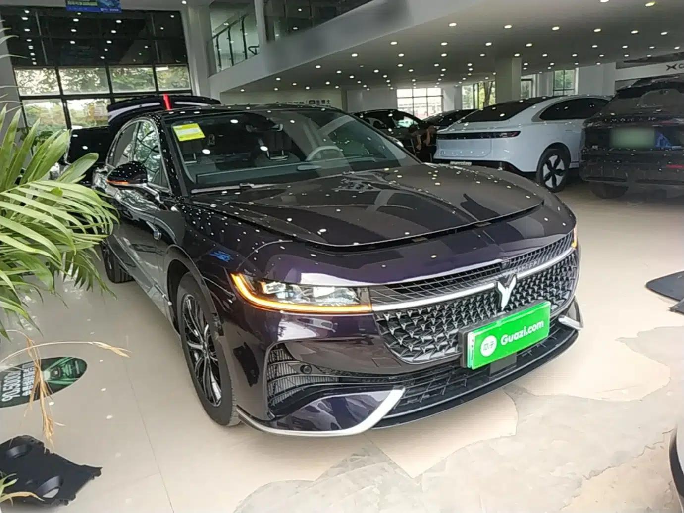 VOYAH PASSION 2024 PHEV Four-Wheel Drive Ultra-Long Range Executive Edition — миниатюра 12