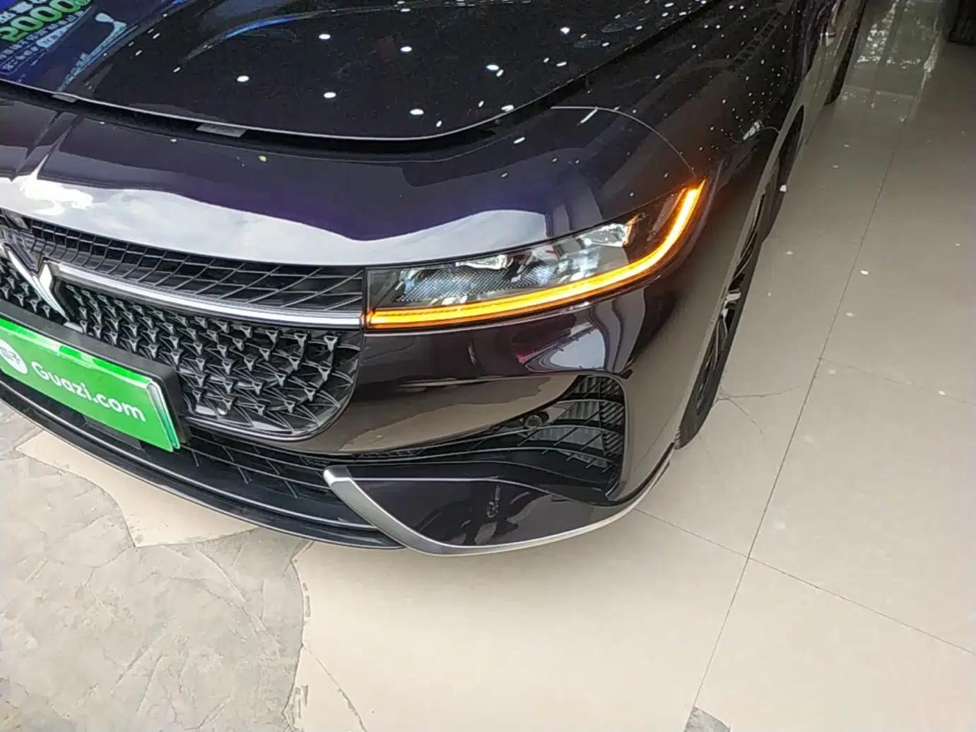 VOYAH PASSION 2024 PHEV Four-Wheel Drive Ultra-Long Range Executive Edition — миниатюра 8