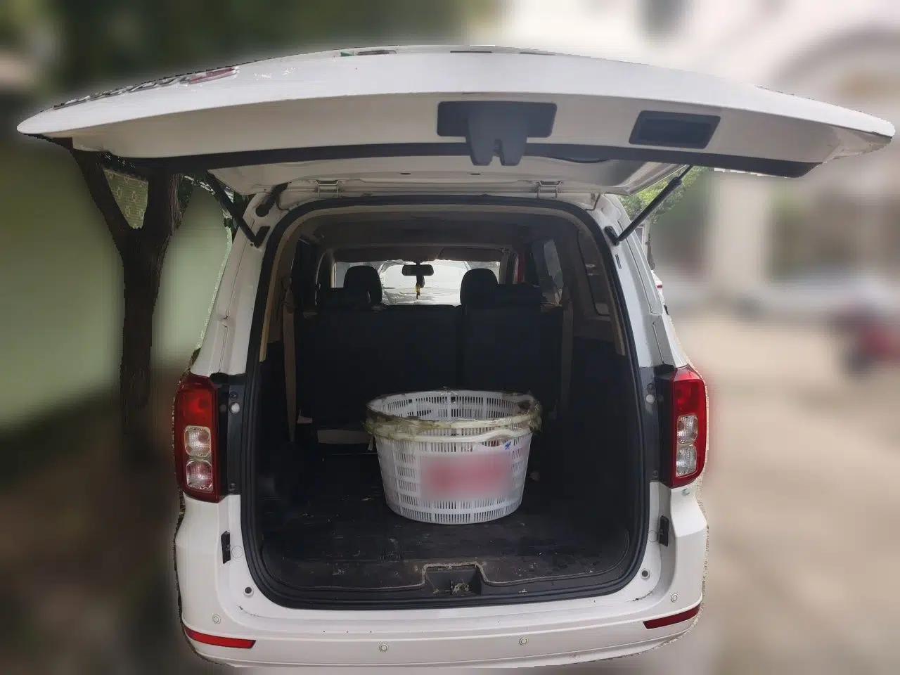 Wuling Hongguang 2019 1.5L S Standard Version China VI LAR — миниатюра 19