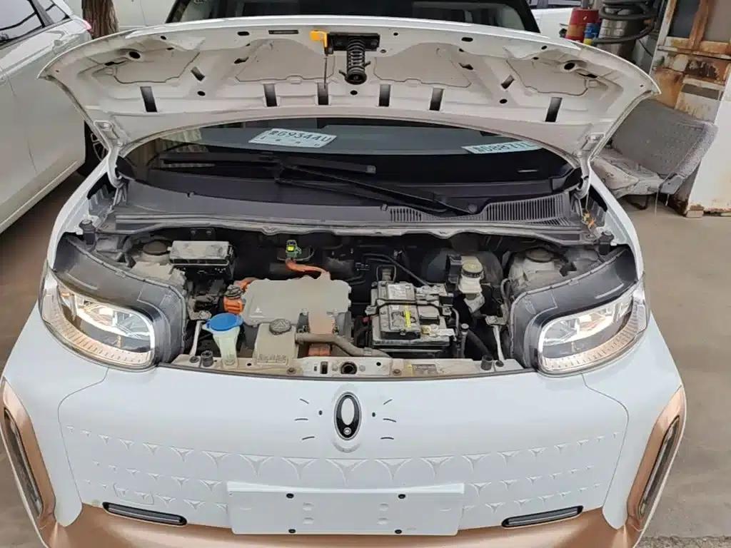 ORA White Cat 2022 Little Wildcat Edition 360km Luxury Triple Lithium Lithium — миниатюра 20