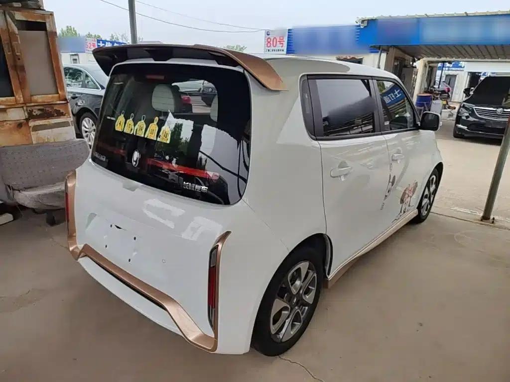 ORA White Cat 2022 Little Wildcat Edition 360km Luxury Triple Lithium Lithium — миниатюра 7