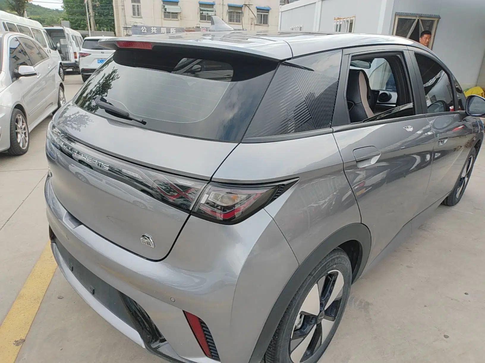 BYD Dolphin 2023 420 km Fashion Edition — миниатюра 6