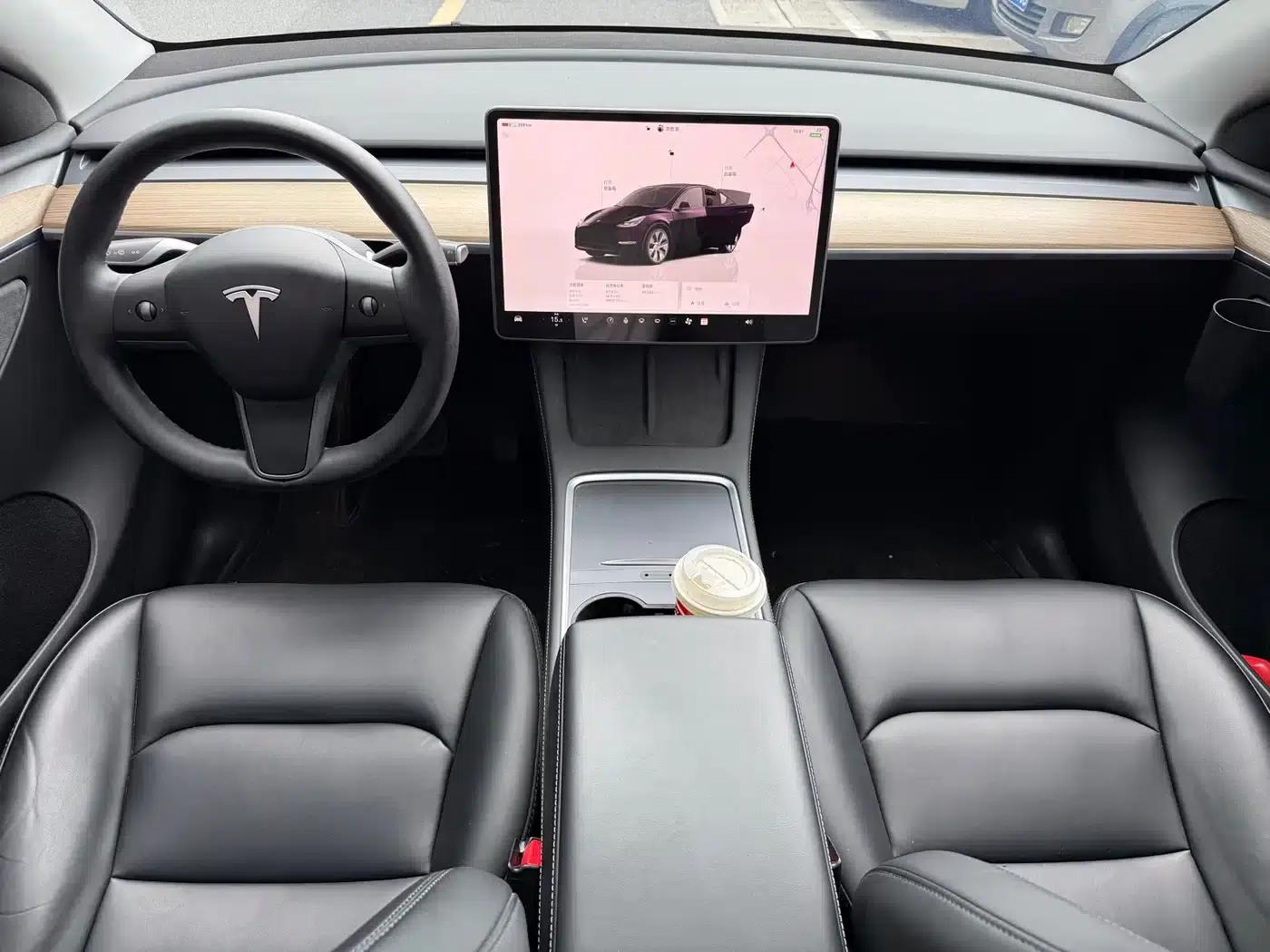 Model Y 2023 Rear-Wheel Drive — миниатюра 9