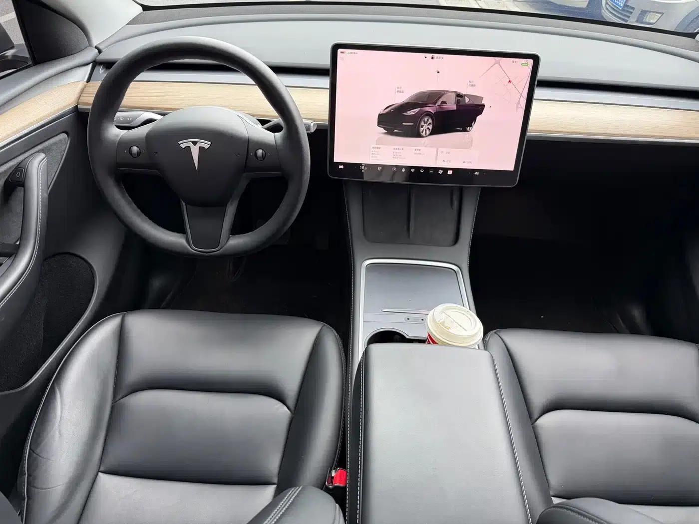 Model Y 2023 Rear-Wheel Drive — миниатюра 10