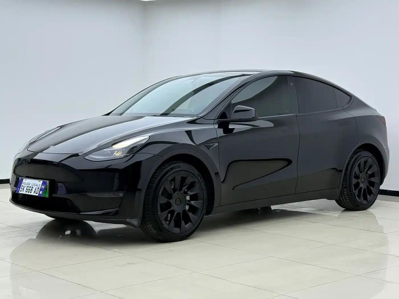 Model Y 2021 Standard Range Rear-Wheel Drive — миниатюра 1