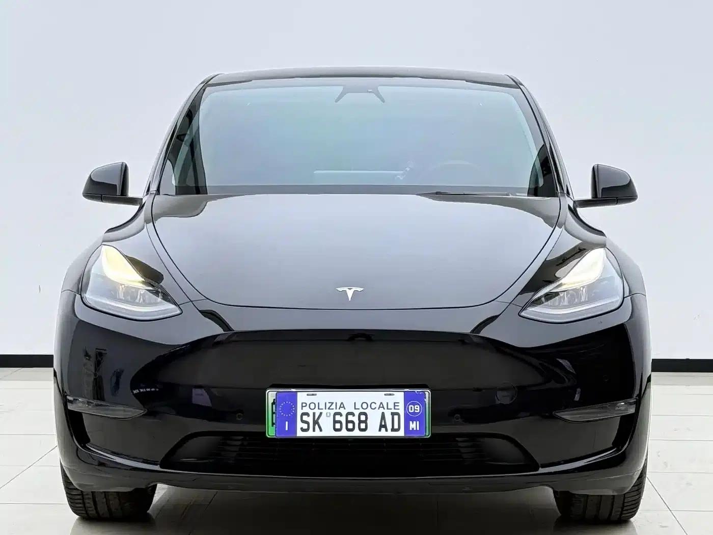 Model Y 2021 Standard Range Rear-Wheel Drive — миниатюра 2