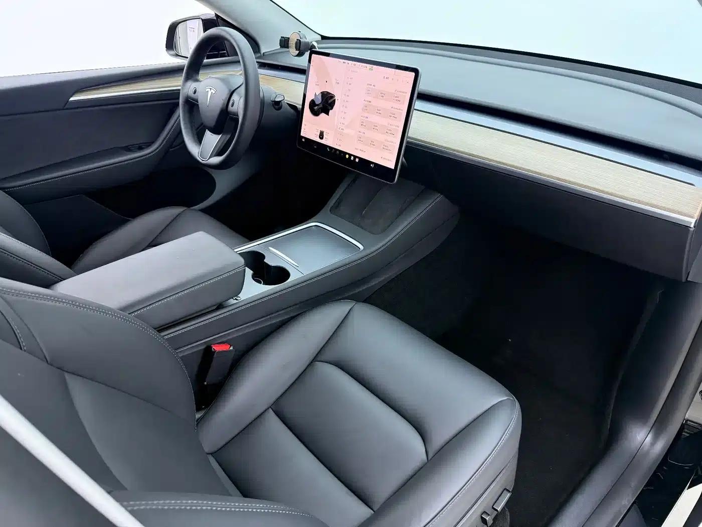 Model Y 2021 Standard Range Rear-Wheel Drive — миниатюра 16