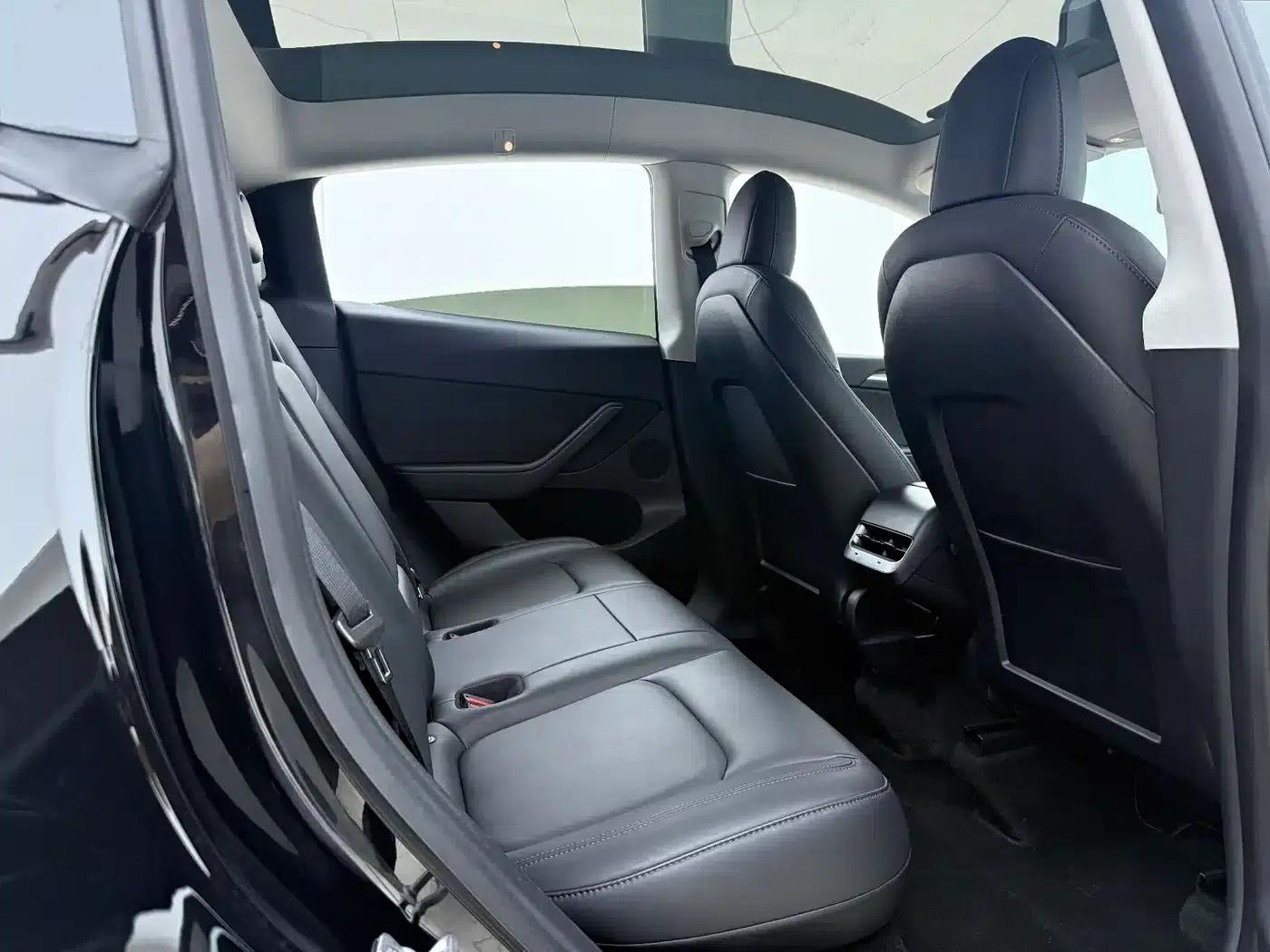 Model Y 2021 Standard Range Rear-Wheel Drive — миниатюра 17