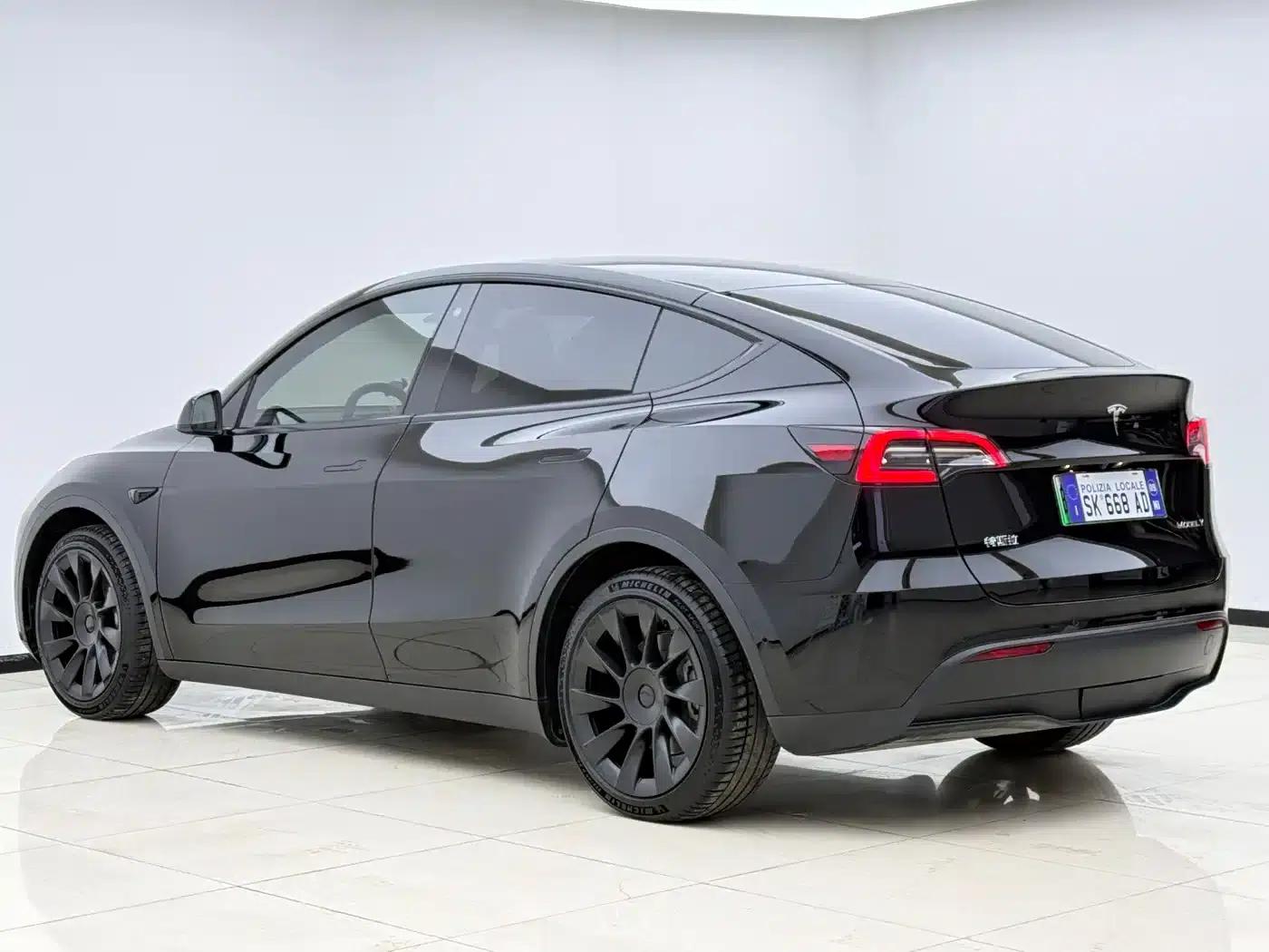 Model Y 2021 Standard Range Rear-Wheel Drive — миниатюра 19