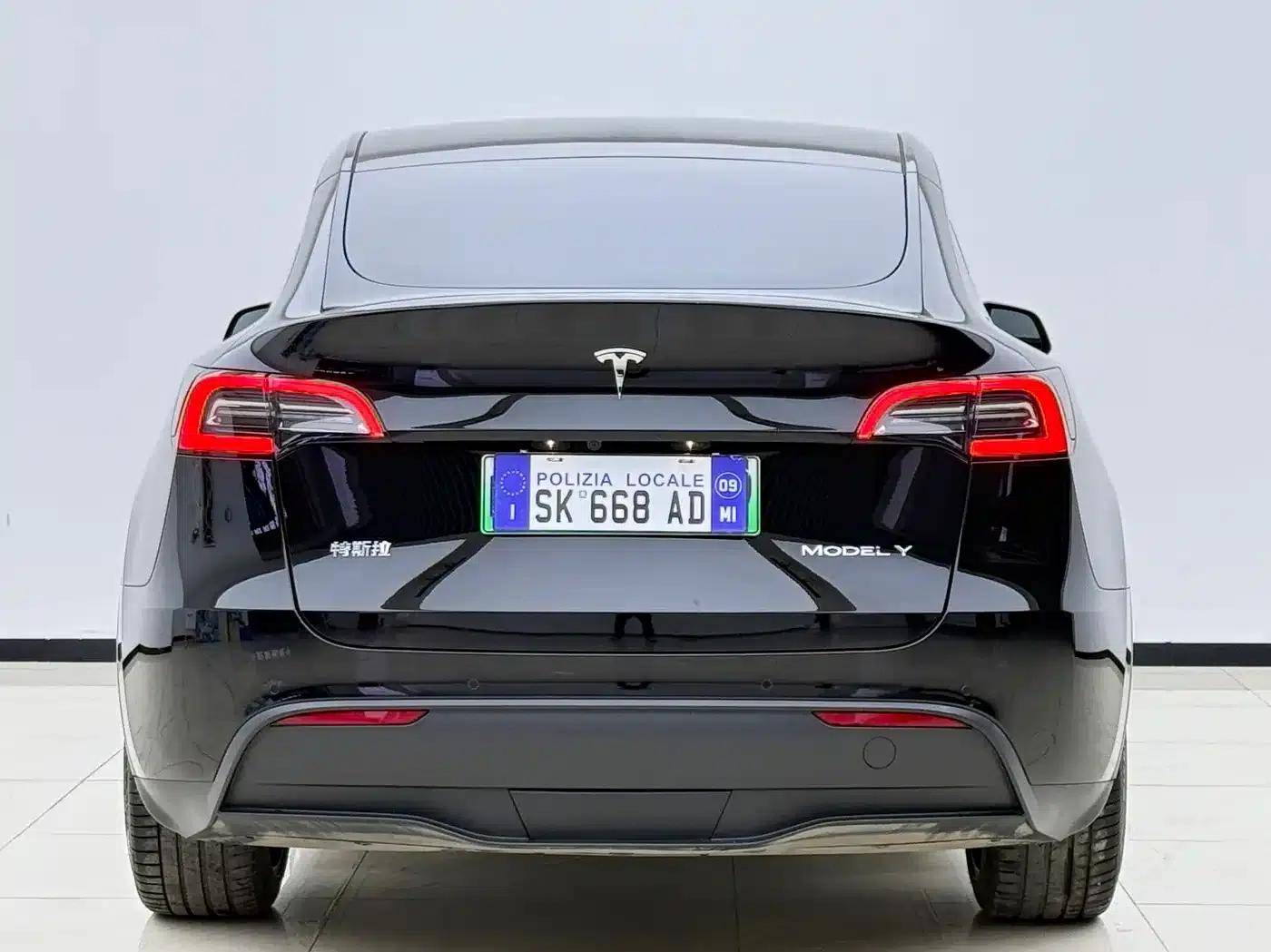 Model Y 2021 Standard Range Rear-Wheel Drive — миниатюра 20