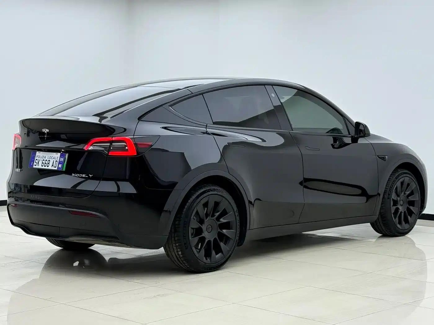 Model Y 2021 Standard Range Rear-Wheel Drive — миниатюра 21