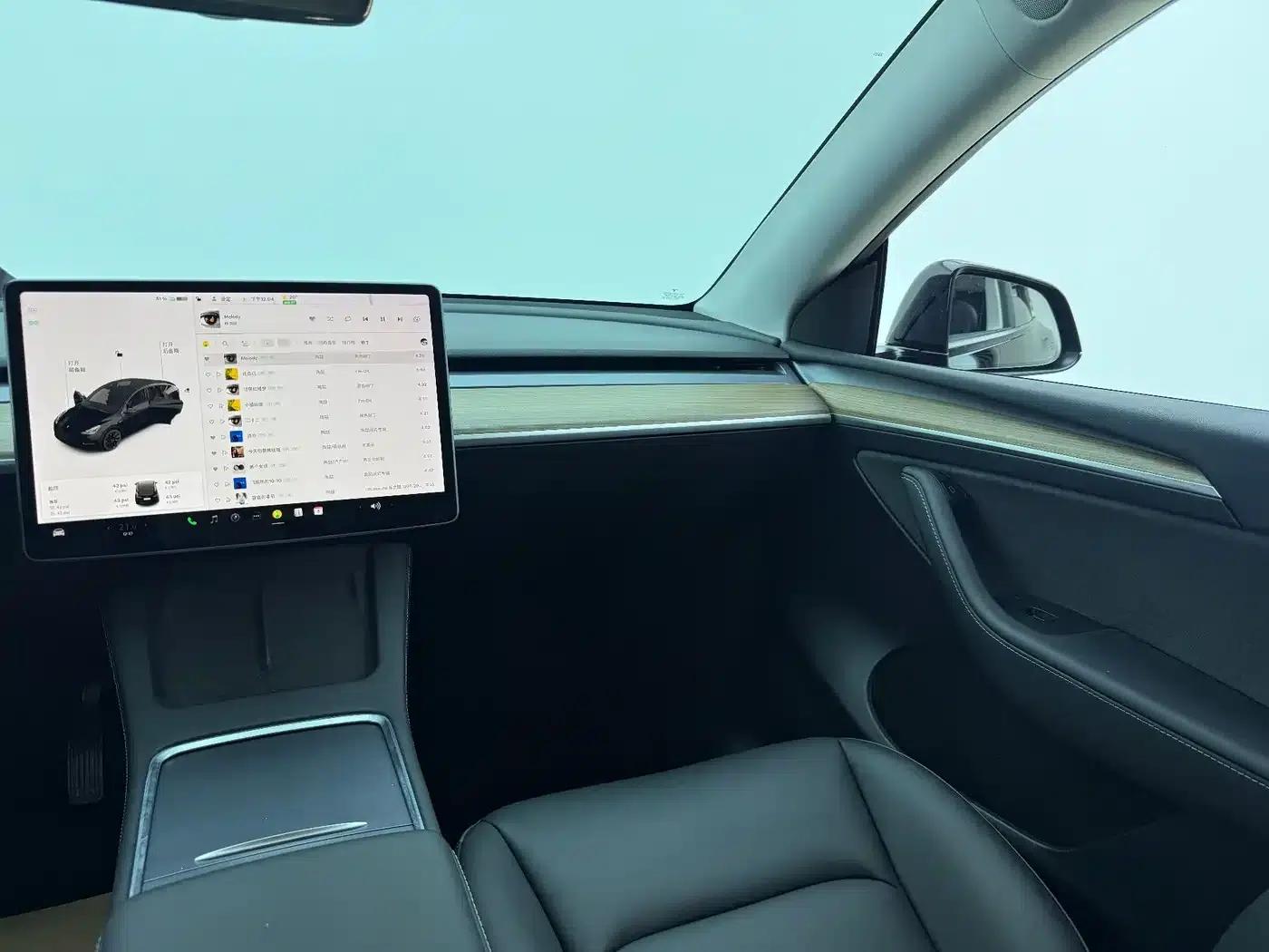 Model Y 2021 Standard Range Rear-Wheel Drive — миниатюра 4