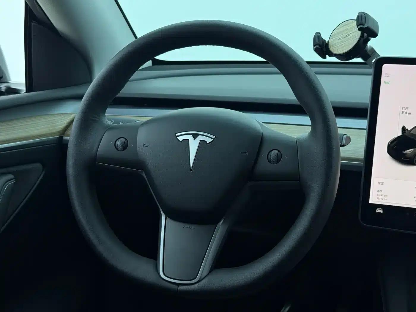 Model Y 2021 Standard Range Rear-Wheel Drive — миниатюра 6