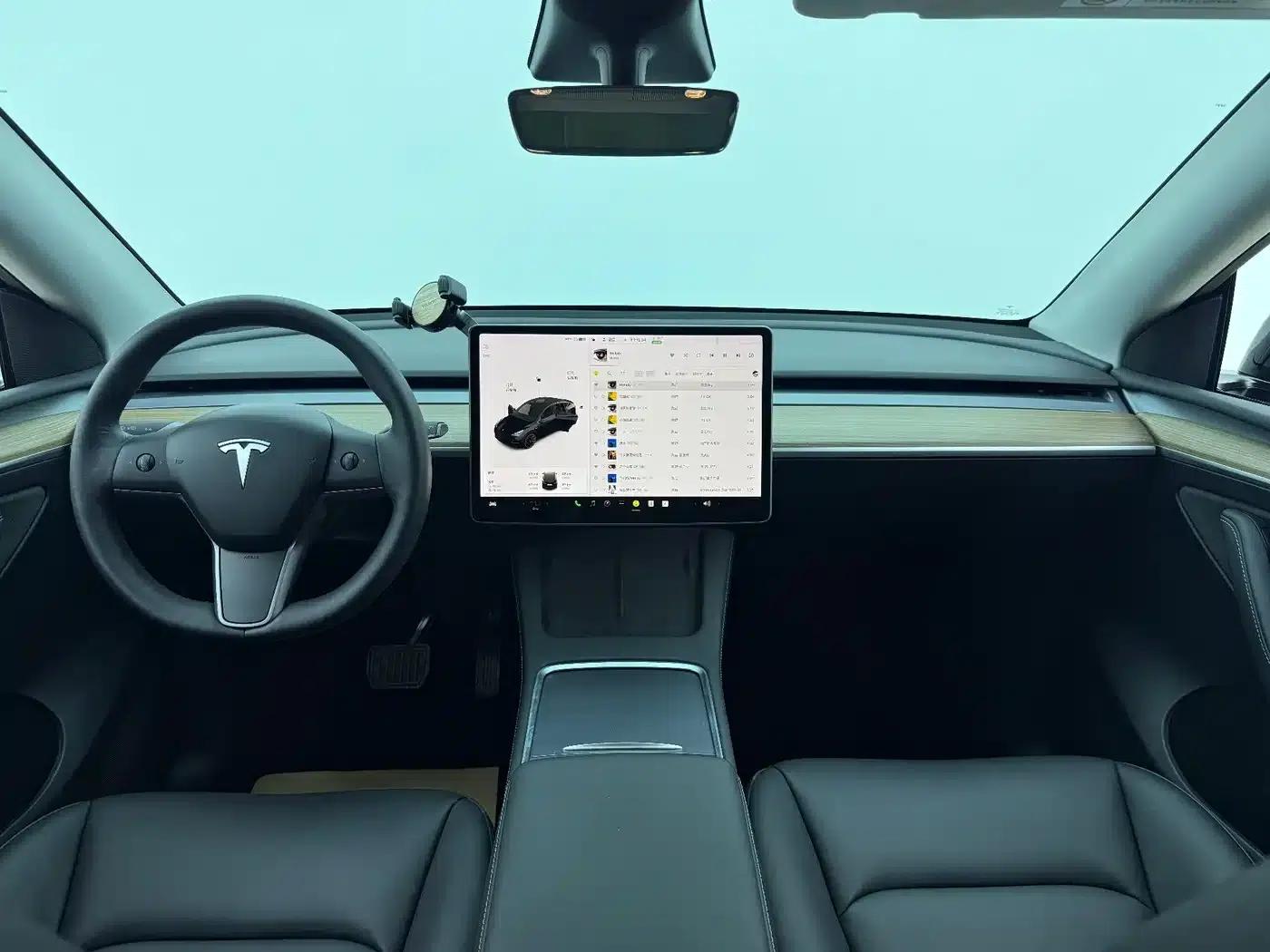 Model Y 2021 Standard Range Rear-Wheel Drive — миниатюра 8