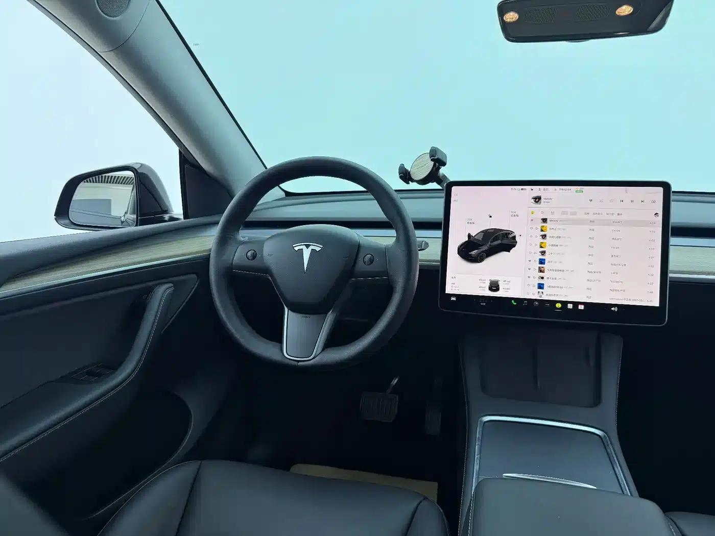 Model Y 2021 Standard Range Rear-Wheel Drive — миниатюра 9