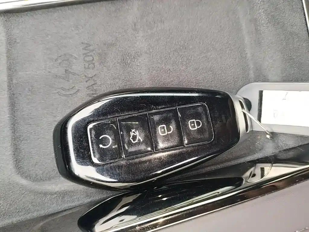 Denza Z9 2024 Model 1100km AWD Max Edition — миниатюра 9