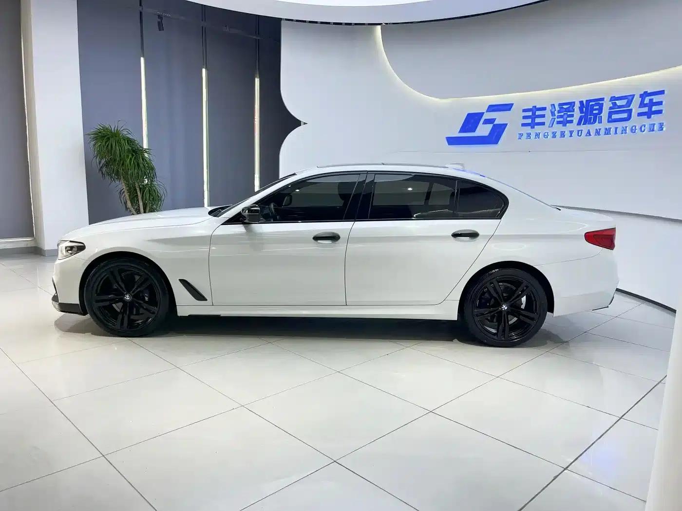 2018 BMW 5 Series 530Li Luxury M Sport Package — миниатюра 2