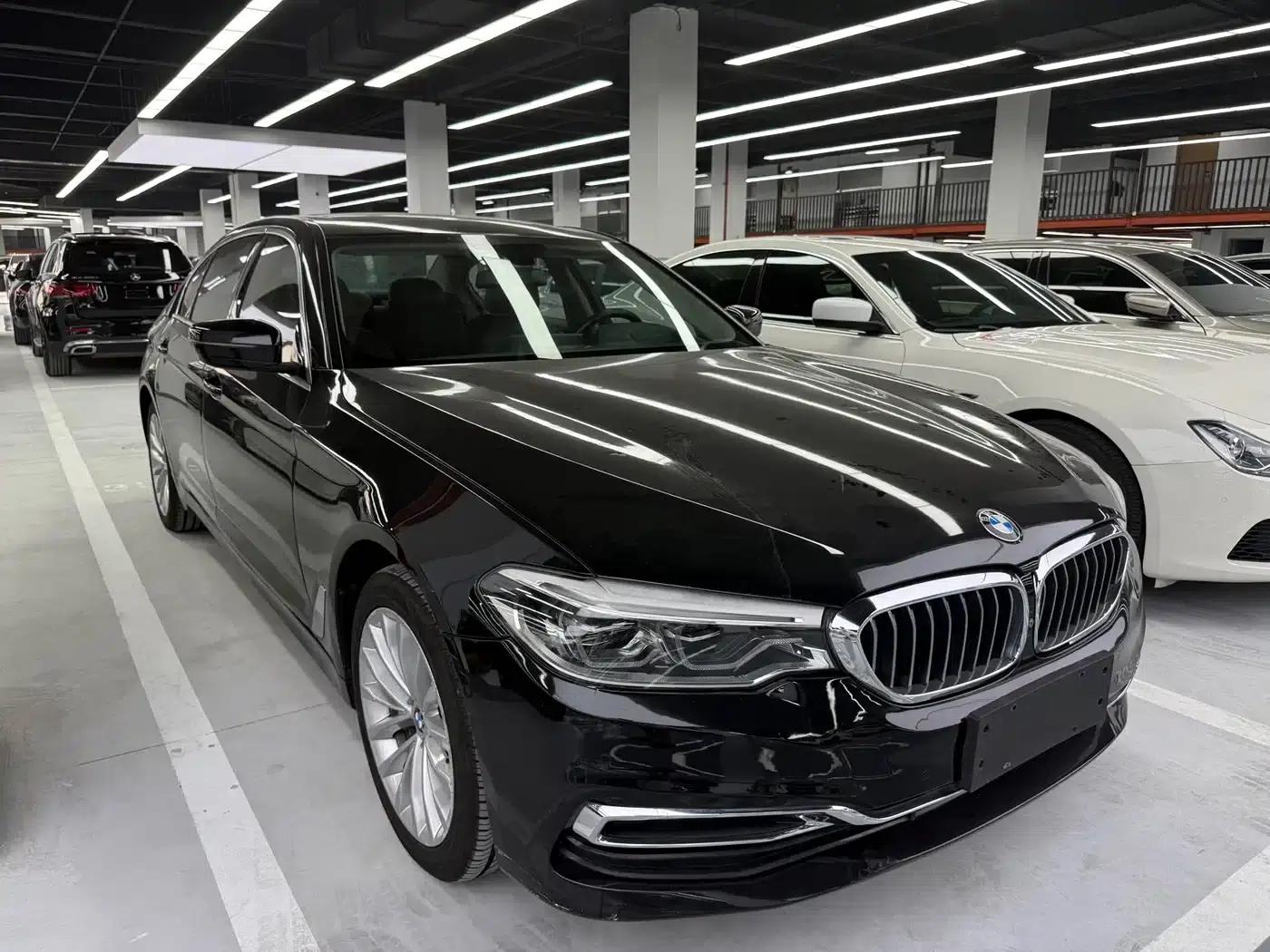 BMW 5 Series 2019 530Li Luxury Package — миниатюра 3