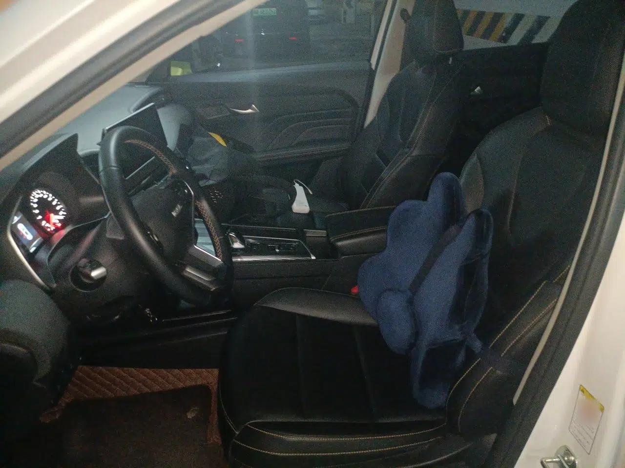 Haval LHERY 2022 Jingxiang Edition 1.5T Brass Rabbit — миниатюра 14