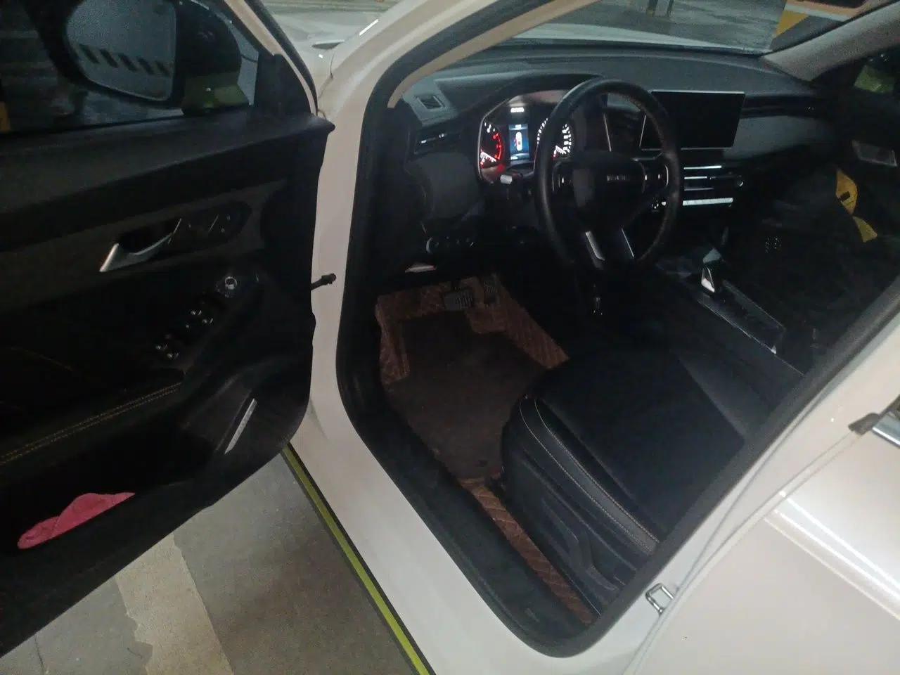 Haval LHERY 2022 Jingxiang Edition 1.5T Brass Rabbit — миниатюра 19