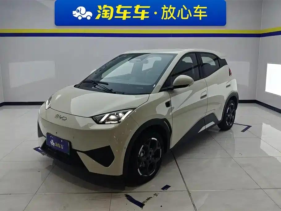 Seagull 2025 Smart Driving Edition 305km Freedom Edition — миниатюра 1