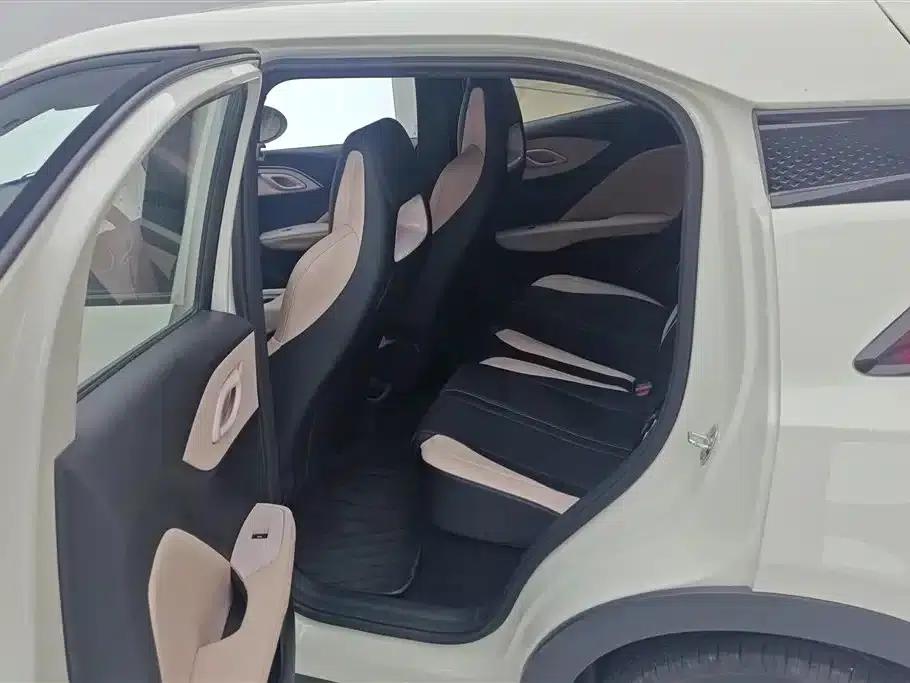 Seagull 2025 Smart Driving Edition 305km Freedom Edition — миниатюра 11